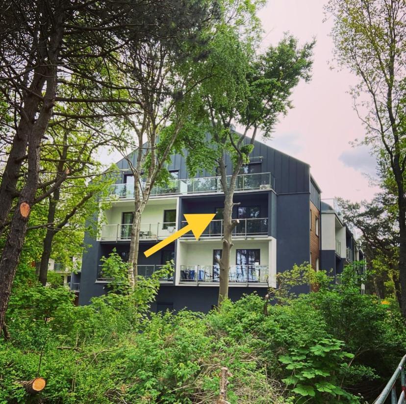 Baltic View Apartament - Dwie Sosny ウストロニエ・モルスキエ エクステリア 写真